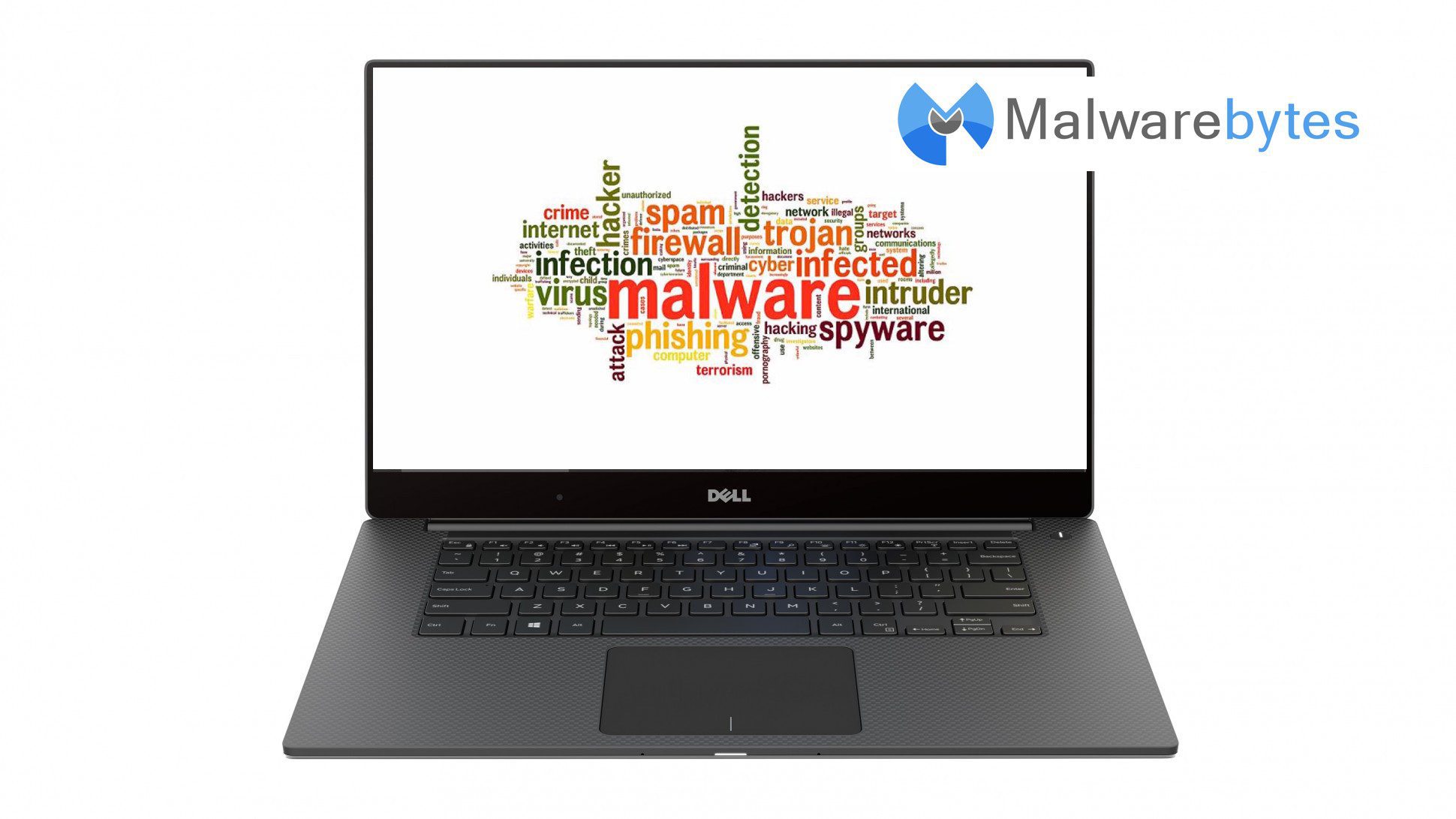 Hur man laddar ner Malwarebytes Anti-Malware Windows