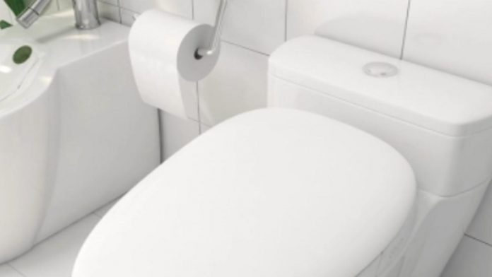 Xiaomi Whale Wash Smart Toalett Pro