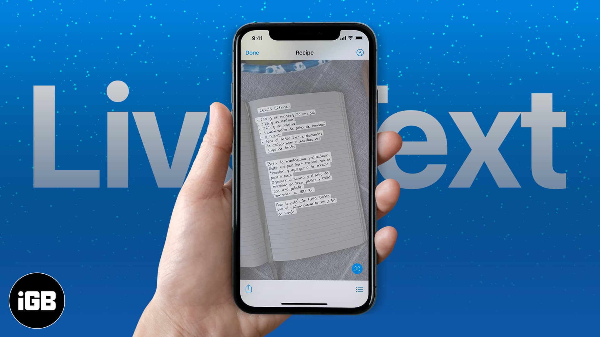 What is Live Text? How to use it in iOS 15