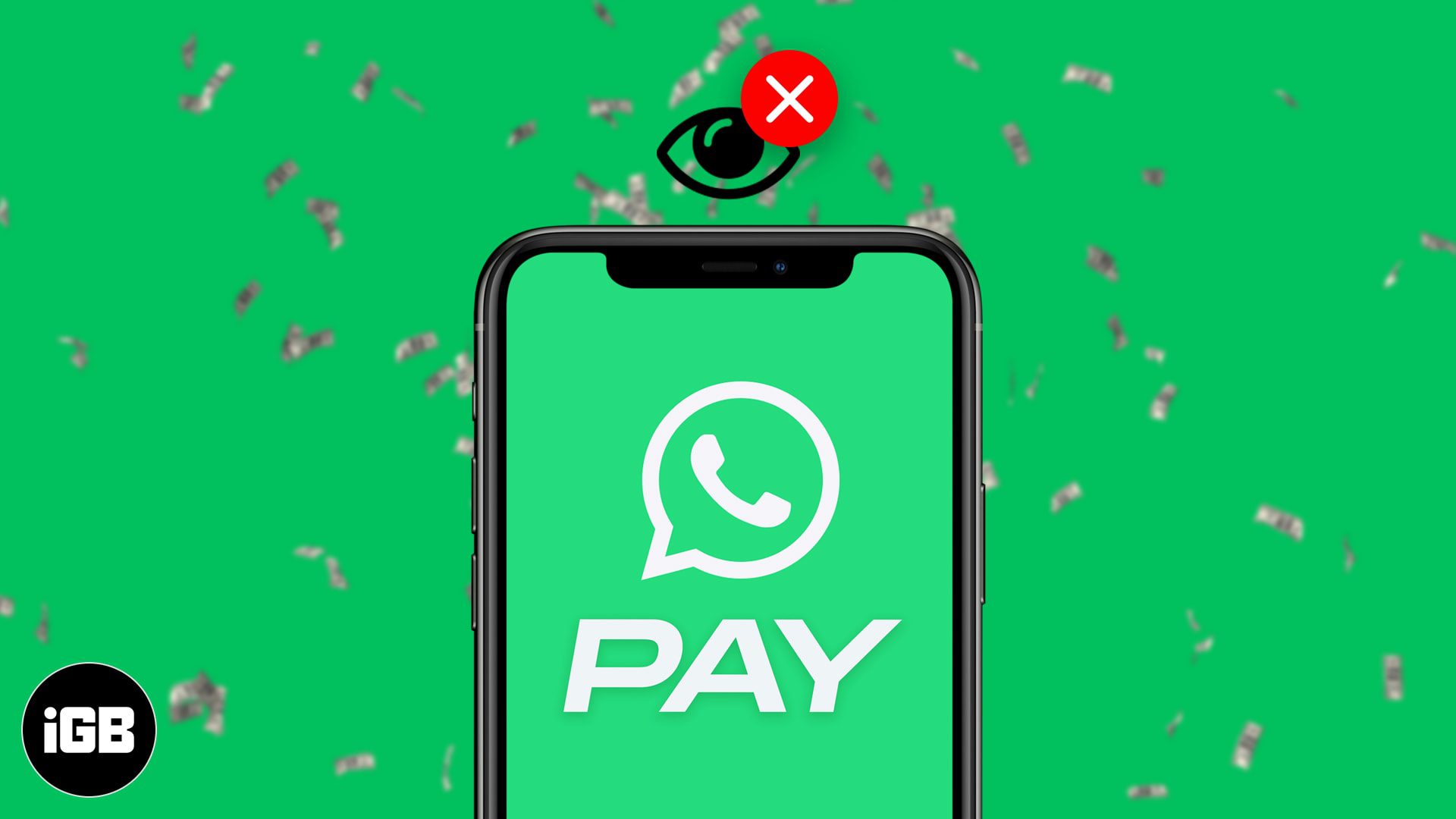 WhatsApp Payment Option Not Showing