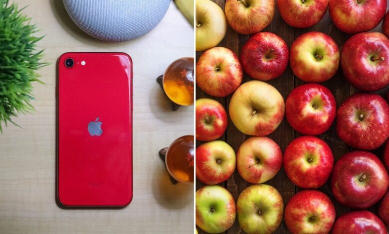 Beställda äpplen från marknaden vann iPhone SE (2020)